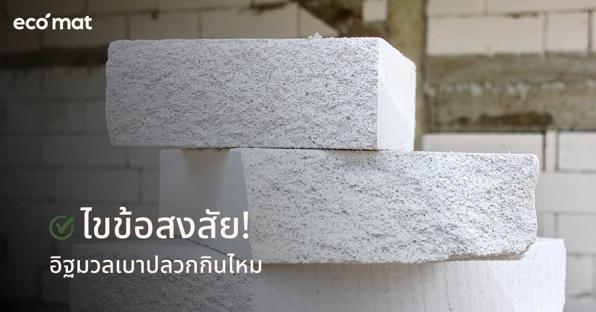 ไขข้อสงสัย! อิฐมวลเบาปลวกกินไหม