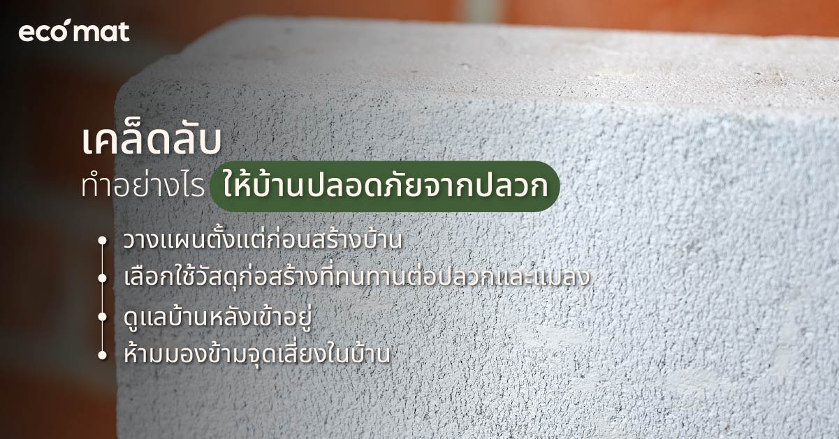 เคล็ดลับทำอย่างไรให้บ้านปลอดภัยจากปลวก