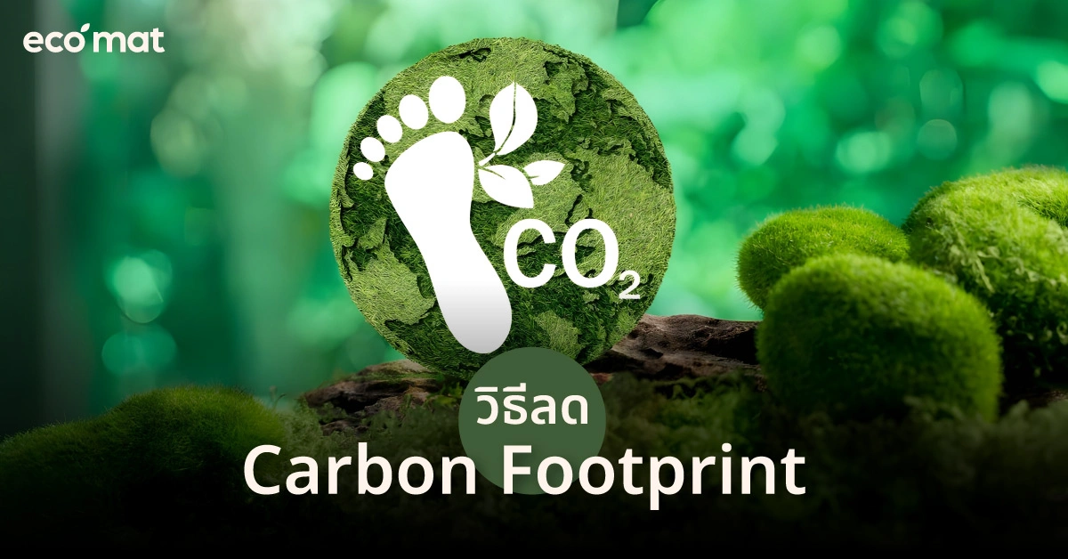 วิธีลด Carbon Footprint 