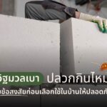 อิฐมวลเบาปลวกกินไหม? ไขข้อสงสัยก่อนเลือกใช้ในบ้านให้ปลอดภัย