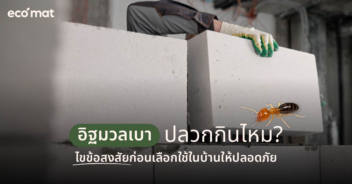 อิฐมวลเบาปลวกกินไหม? ไขข้อสงสัยก่อนเลือกใช้ในบ้านให้ปลอดภัย