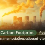 Carbon Footprint คืออะไร? ส่งผลกระทบต่อสิ่งแวดล้อมอย่างไรบ้าง