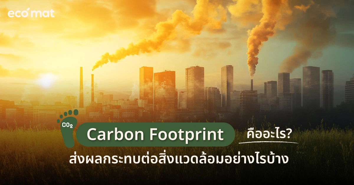 Carbon Footprint คืออะไร? ส่งผลกระทบต่อสิ่งแวดล้อมอย่างไรบ้าง