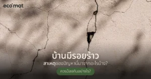 บ้านมีรอยร้าว สาเหตุของปัญหานี้มาจากอะไรบ้าง ควรป้องกันอย่างไร